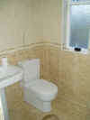 bathroom in dublin 2 (115229 bytes)